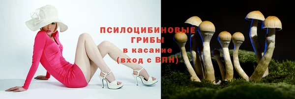 прущая мука Новозыбков