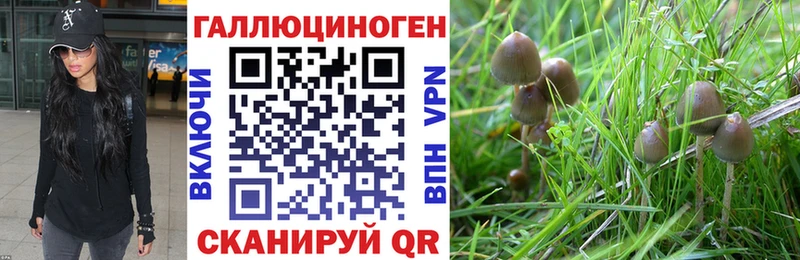 Галлюциногенные грибы Magic Shrooms Купить закладки Мурманск